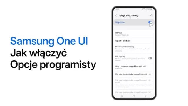 Jak włączyć opcje programistyczne i uniknąć problemów z telefonem Jak włączyć opcje programistyczne i uniknąć problemów z telefonem